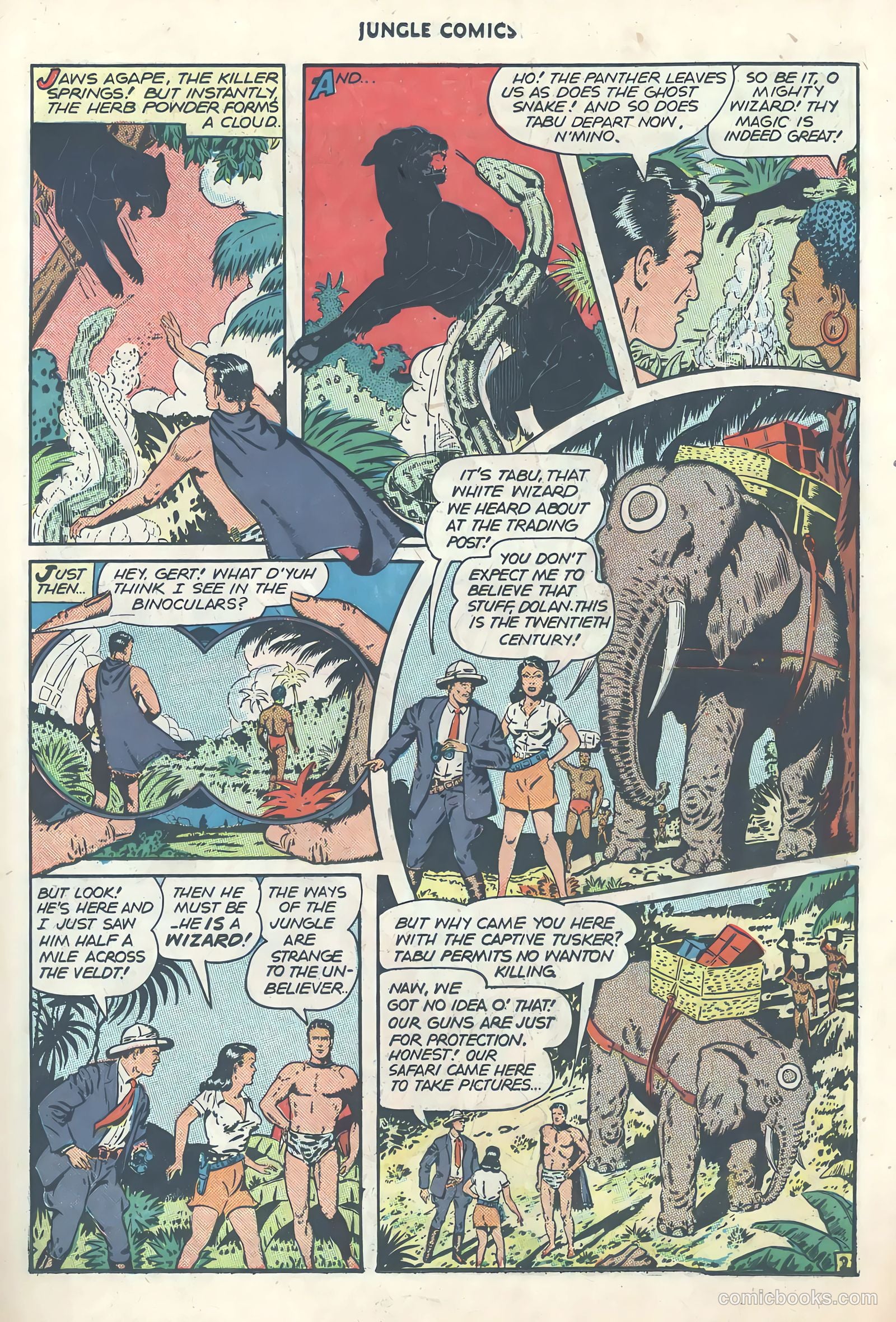 Jungle Comics #81 (1946) — page 21 of 53