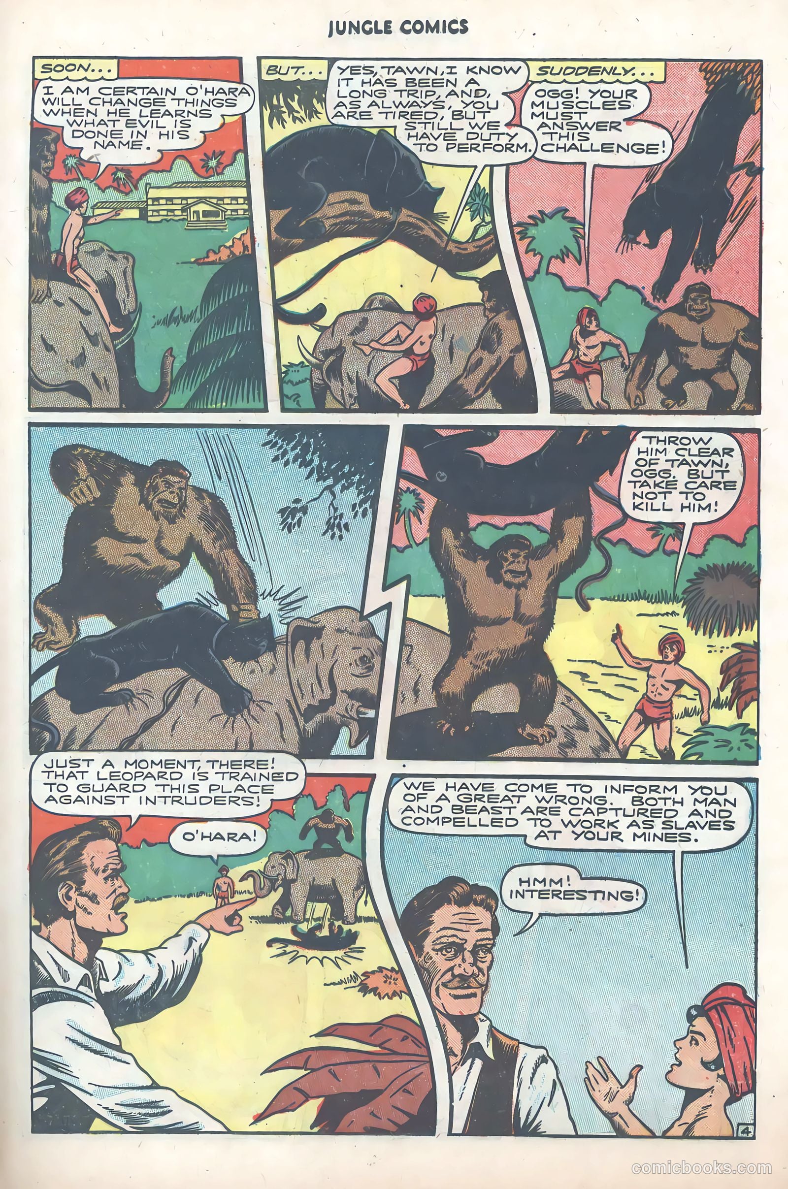 Jungle Comics #81 (1946) — page 31 of 53
