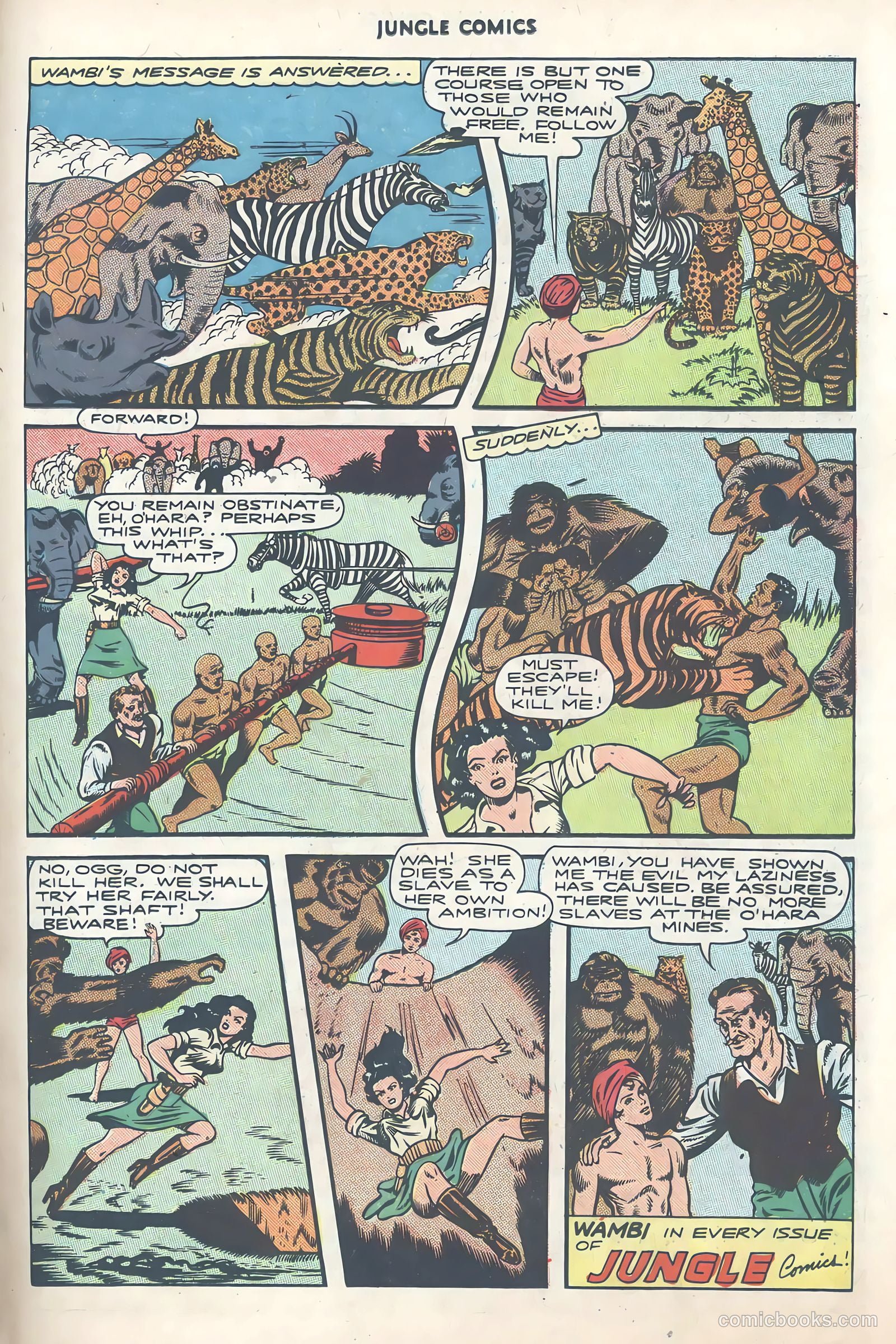 Jungle Comics #81 (1946) — page 33 of 53