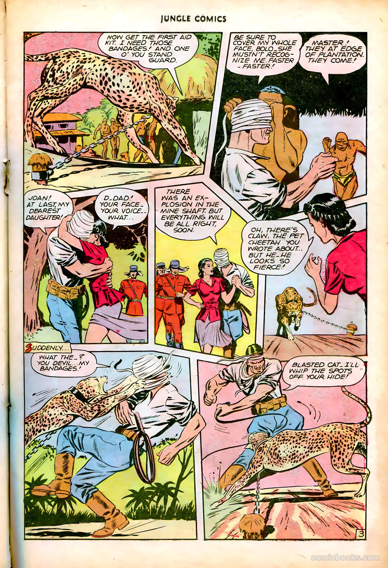Jungle Comics #82 (1946) — page 21 of 52