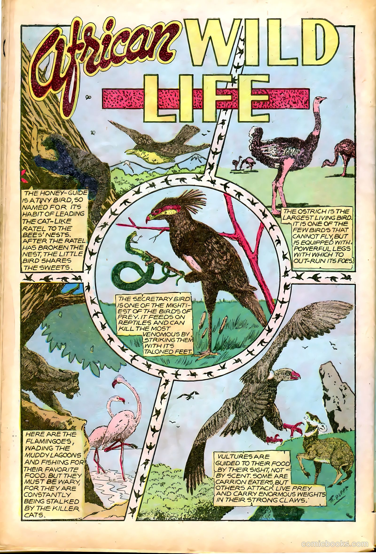 Jungle Comics #82 (1946) — page 42 of 52