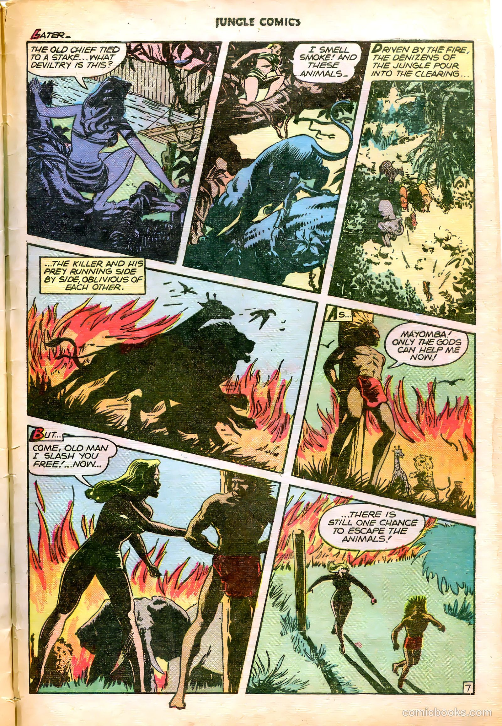Jungle Comics #82 (1946) — page 49 of 52