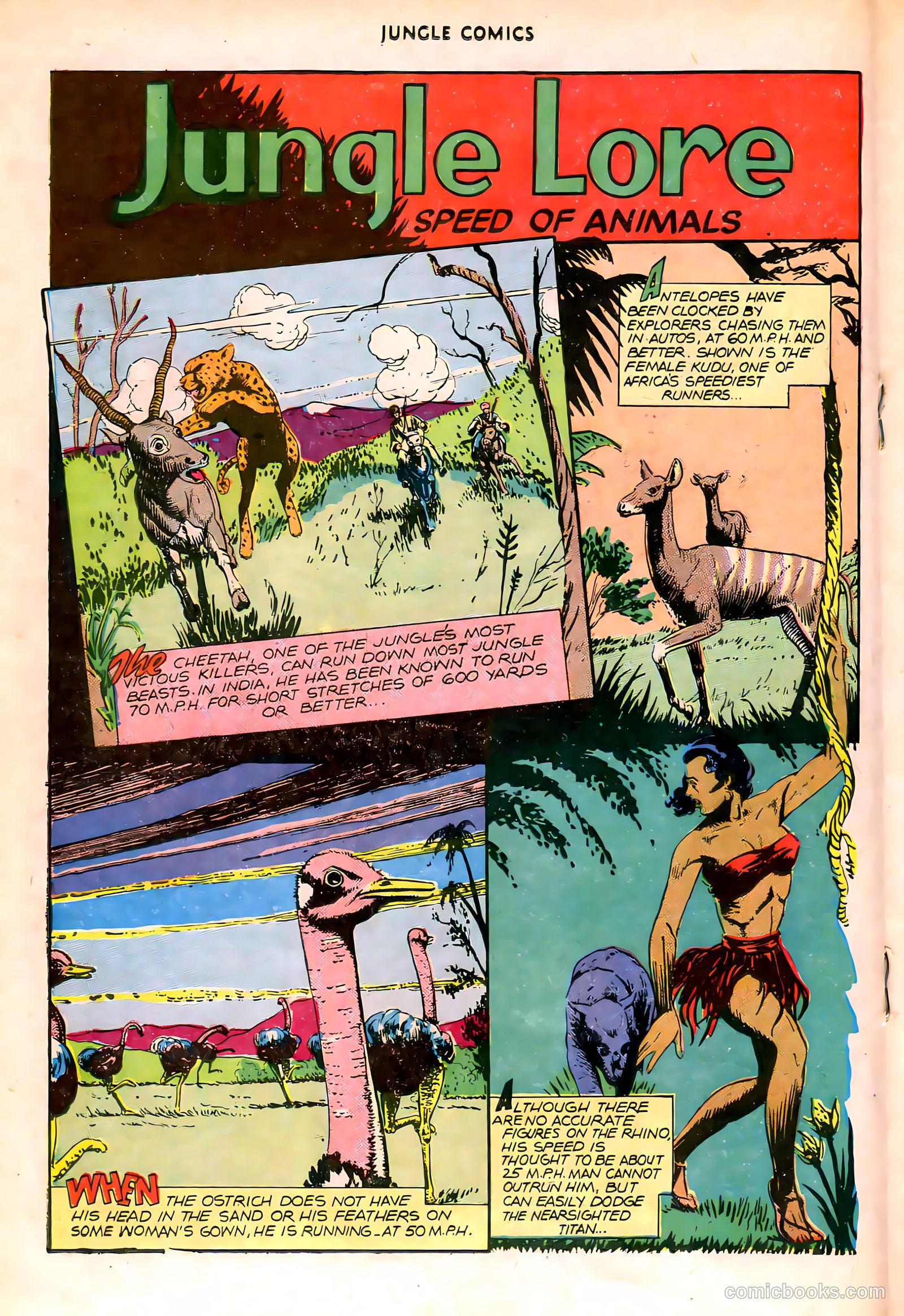 Jungle Comics #83 (1946) — page 27 of 53