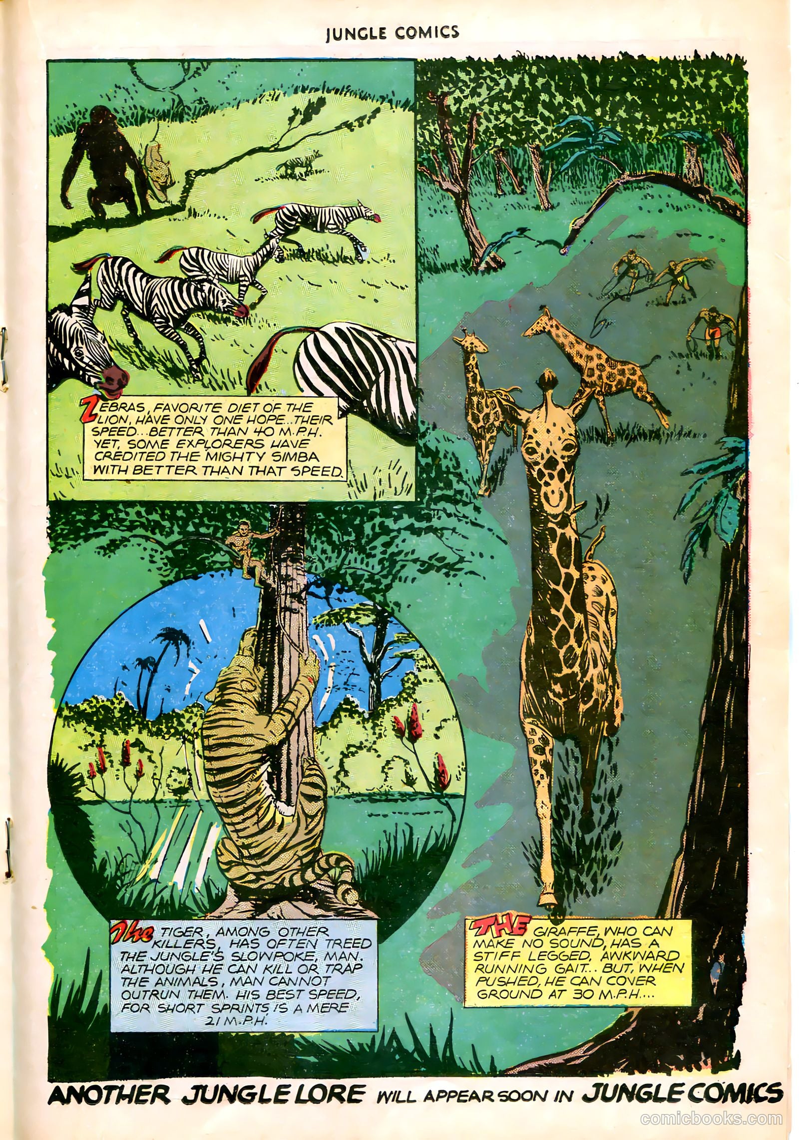 Jungle Comics #83 (1946) — page 28 of 53