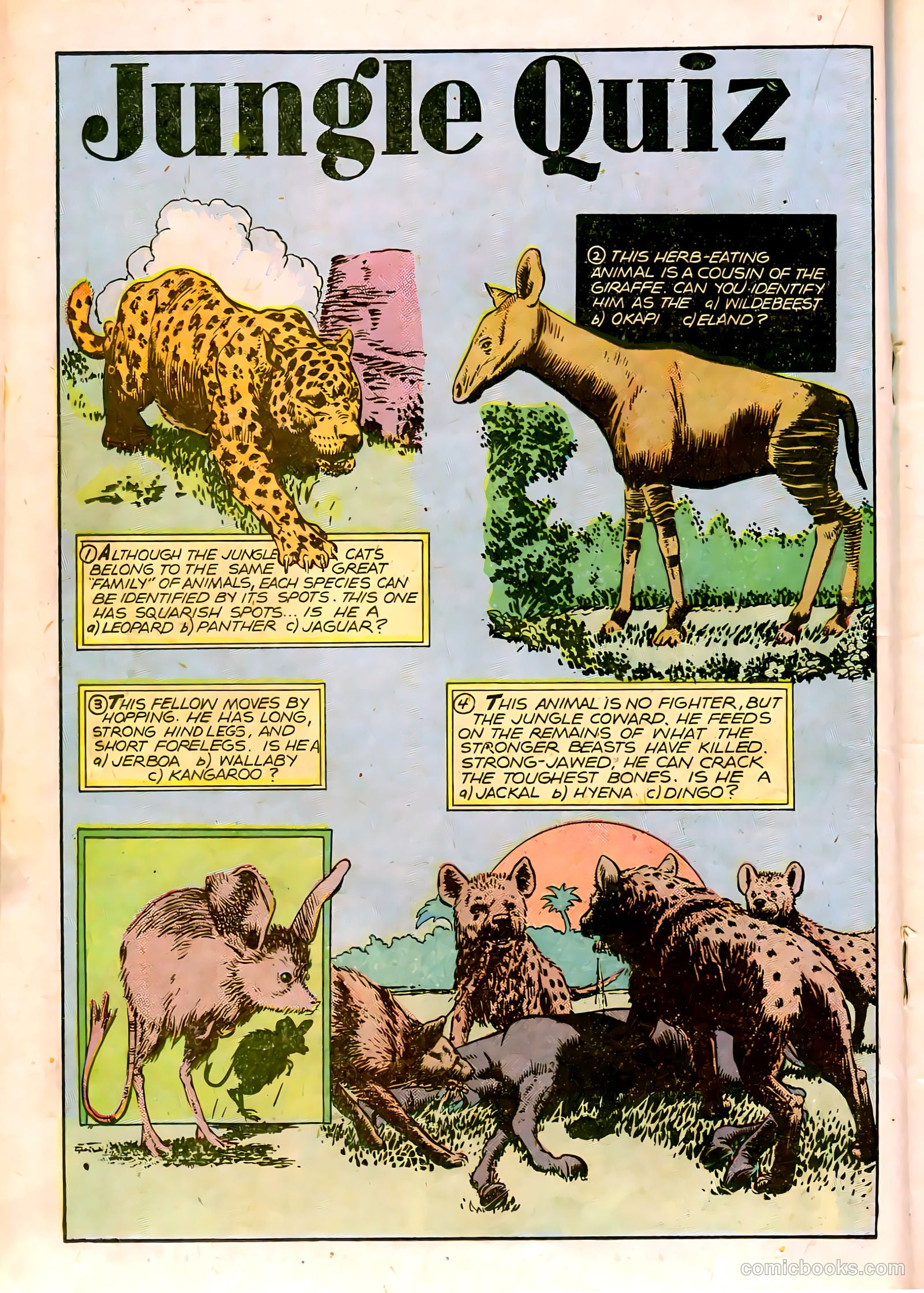 Jungle Comics #84 (1946) — page 27 of 53
