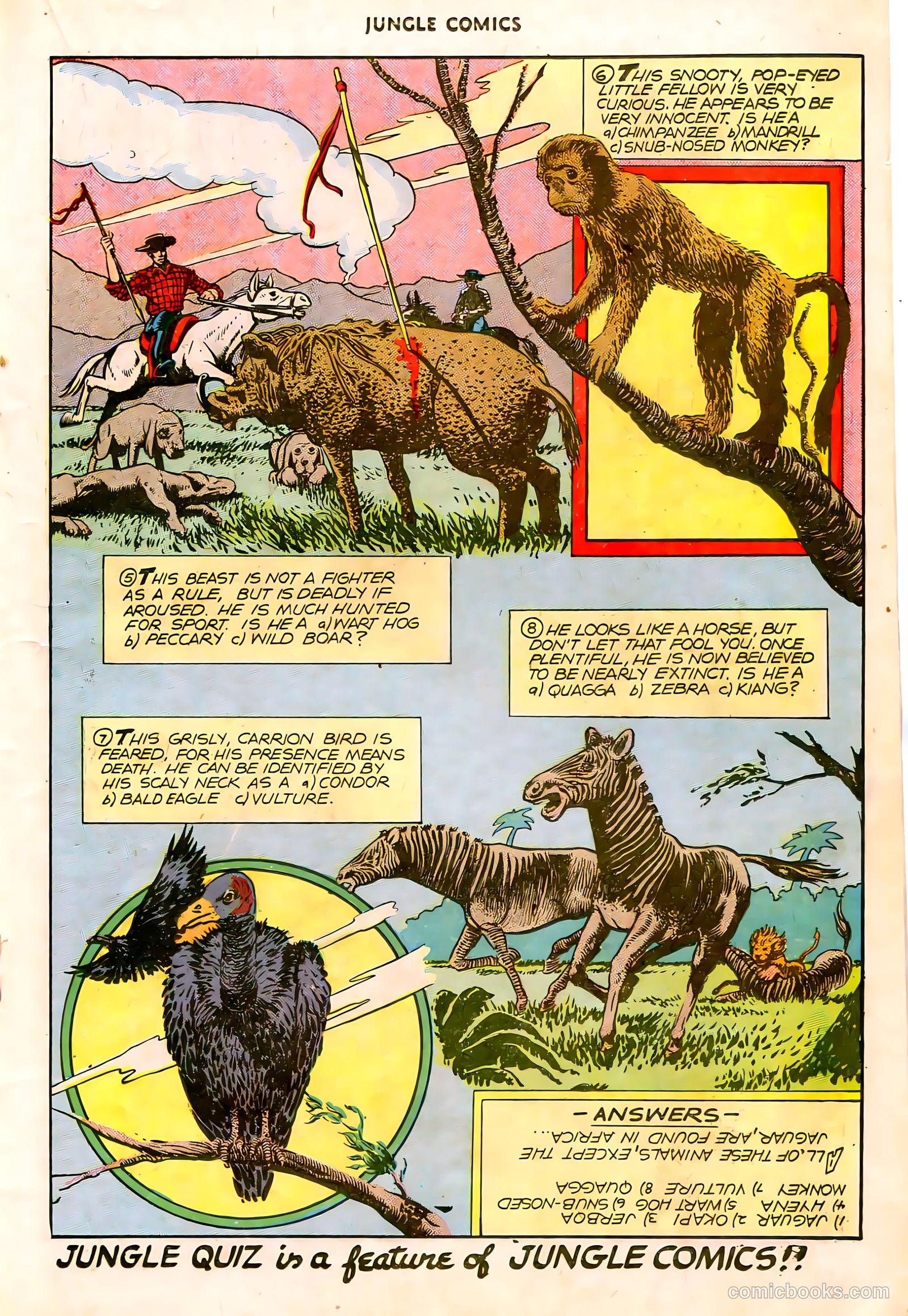 Jungle Comics #84 (1946) — page 28 of 53