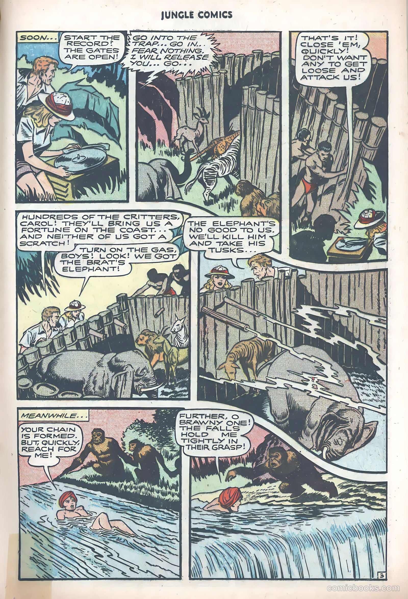 Jungle Comics #85 (1947) — page 31 of 52