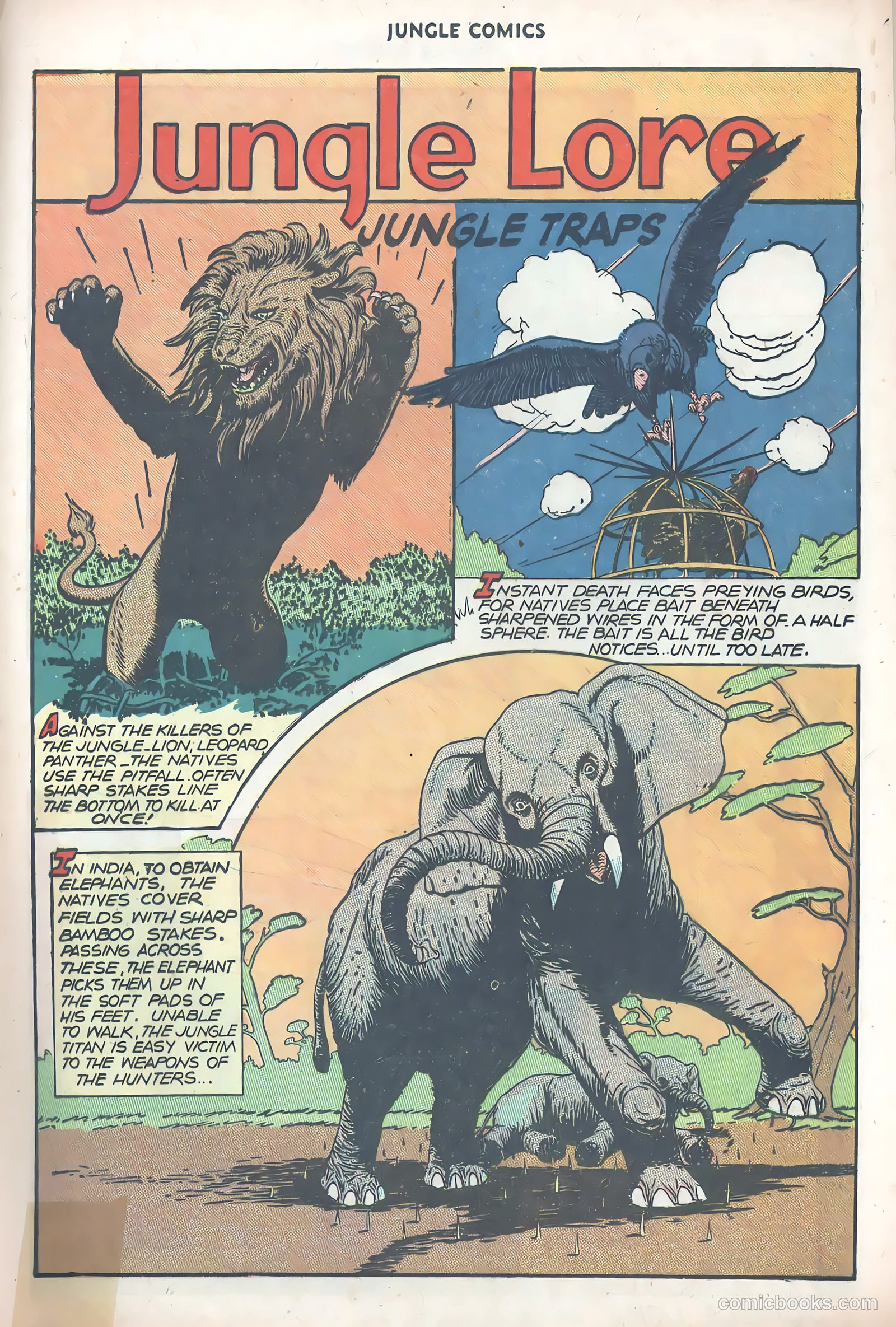 Jungle Comics #85 (1947) — page 35 of 52