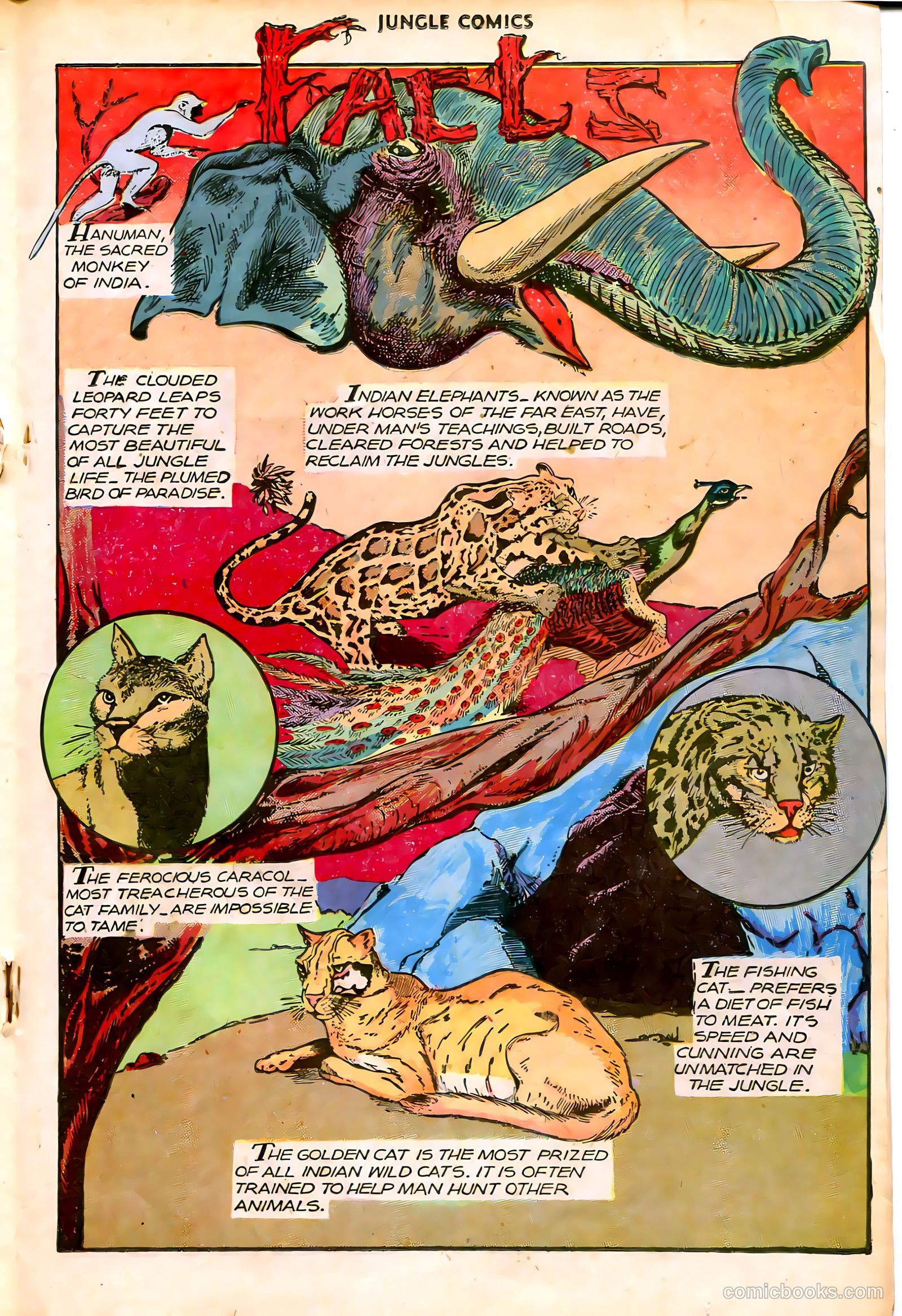 Jungle Comics #87 (1947) — page 27 of 52