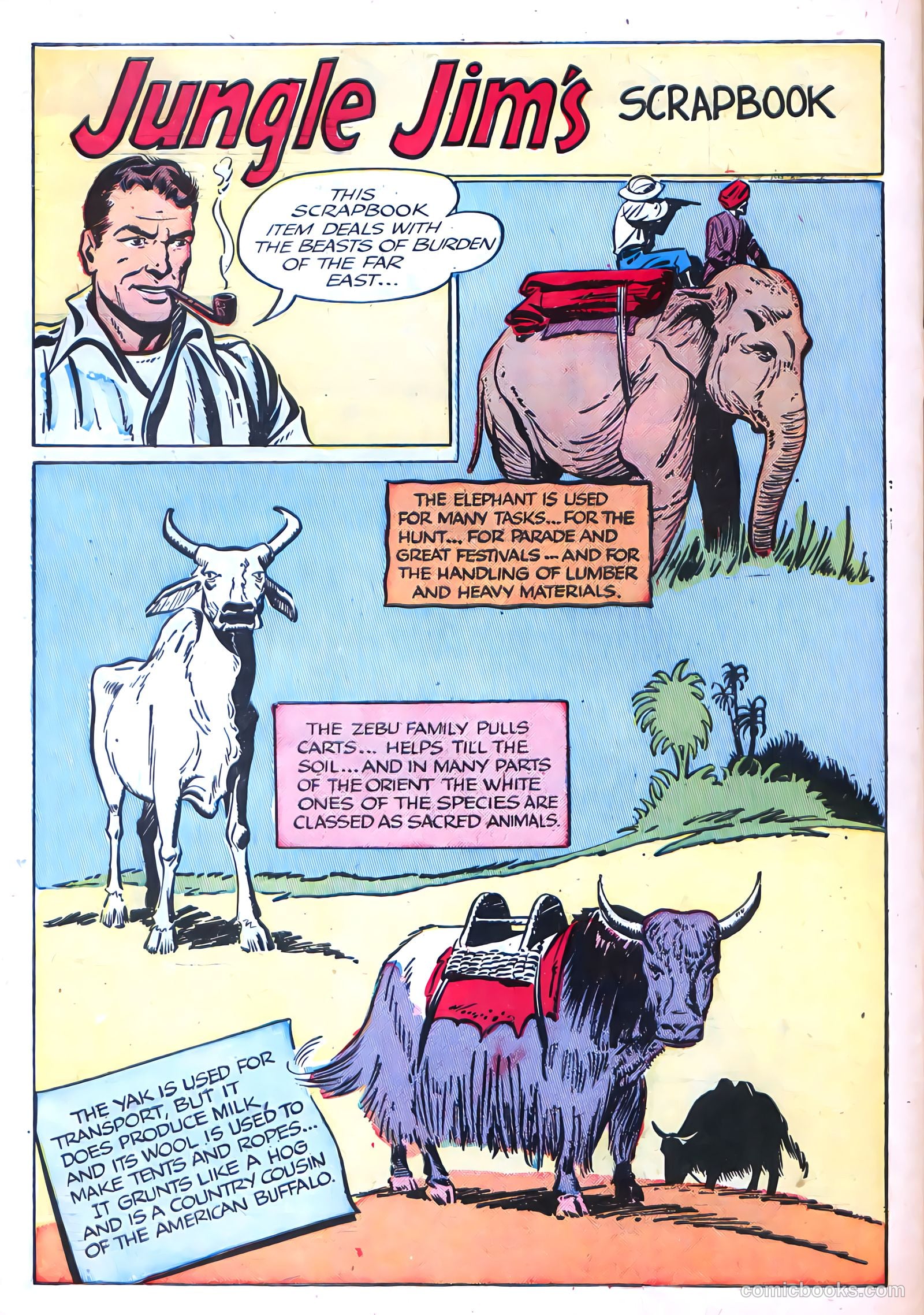 Jungle Jim #14 (1940) — page 34 of 36
