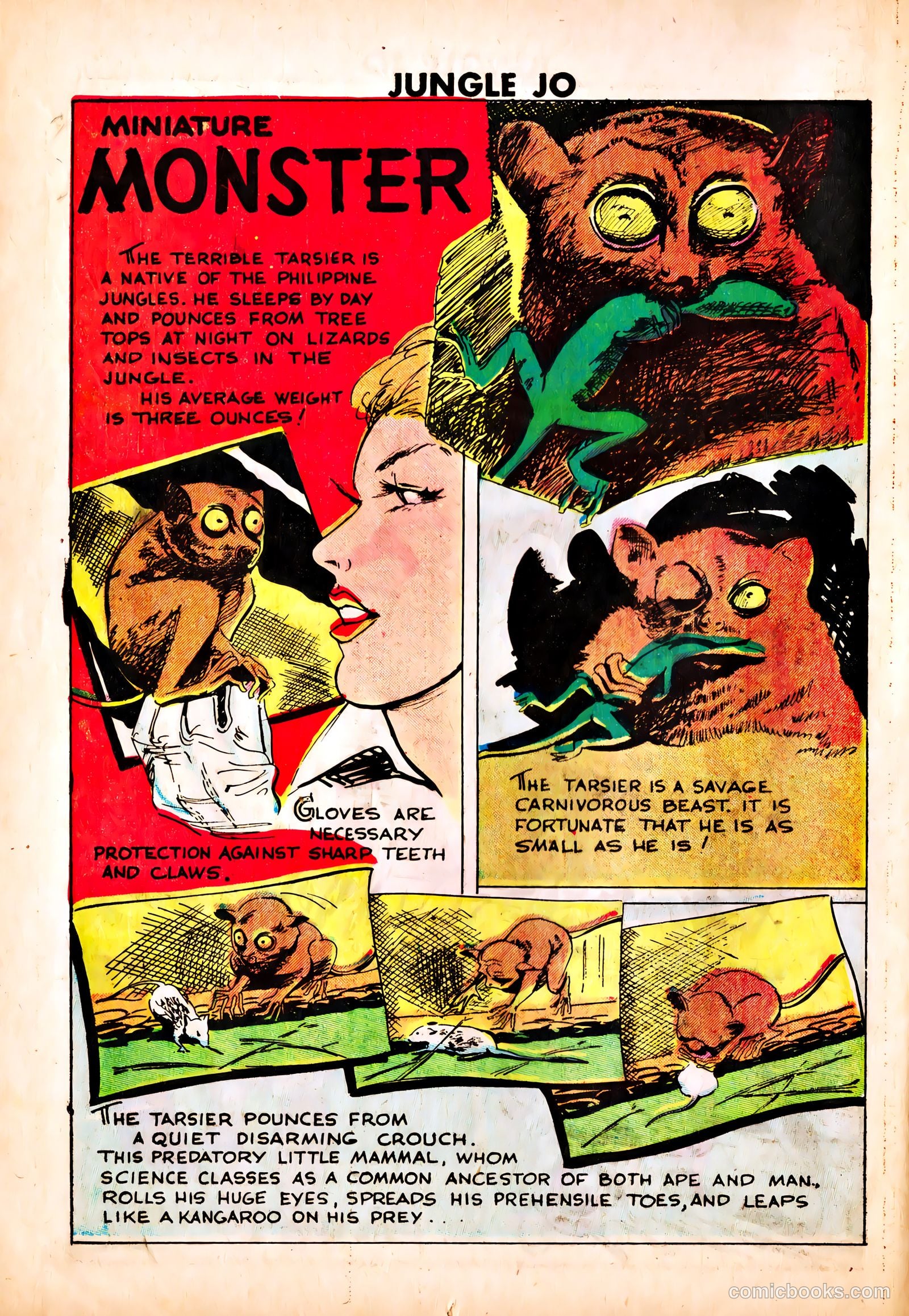 Jungle Jo #3 (1950) — page 12 of 36