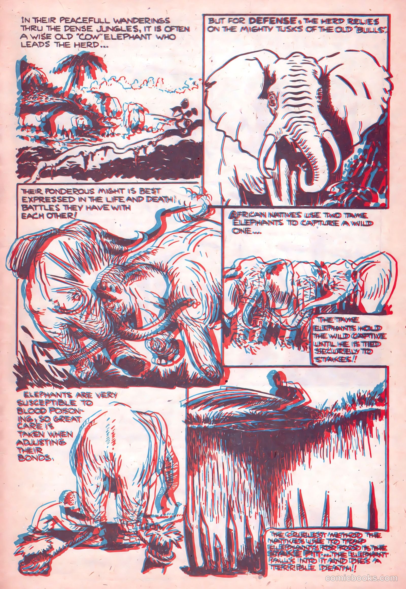 Jungle Thrills 3-D #1 (1953) — page 23 of 36