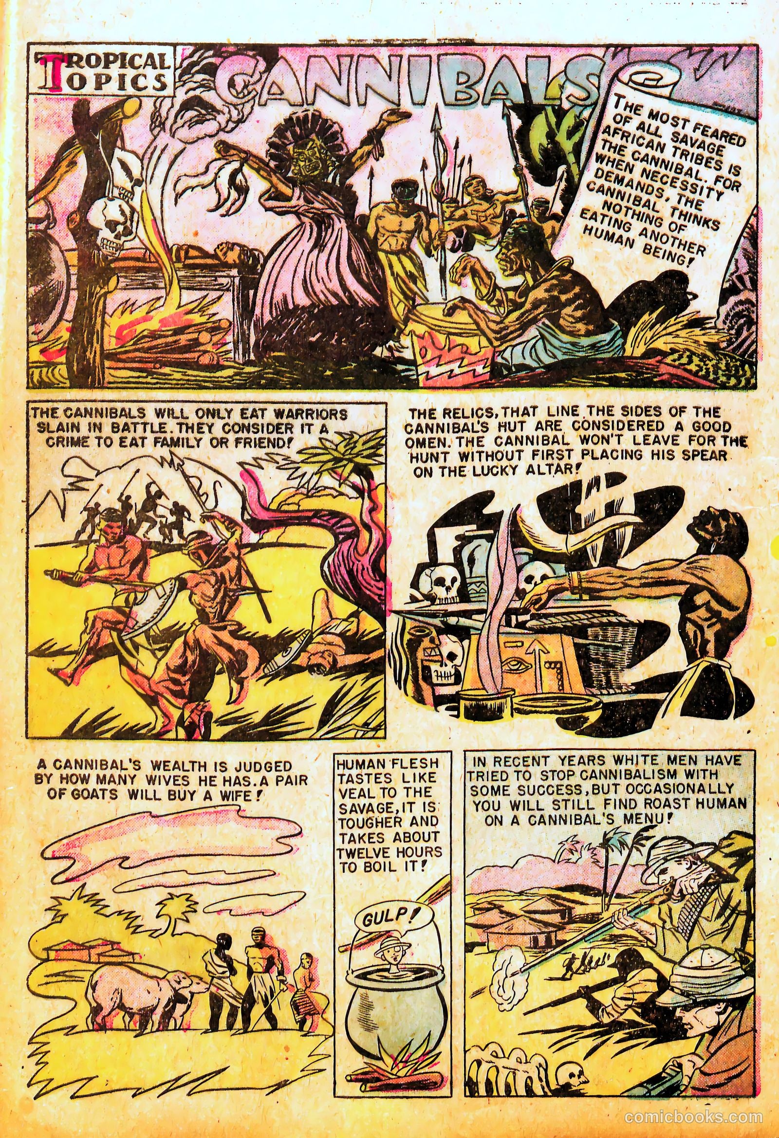 JungleTown Comics #23 — page 16 of 36