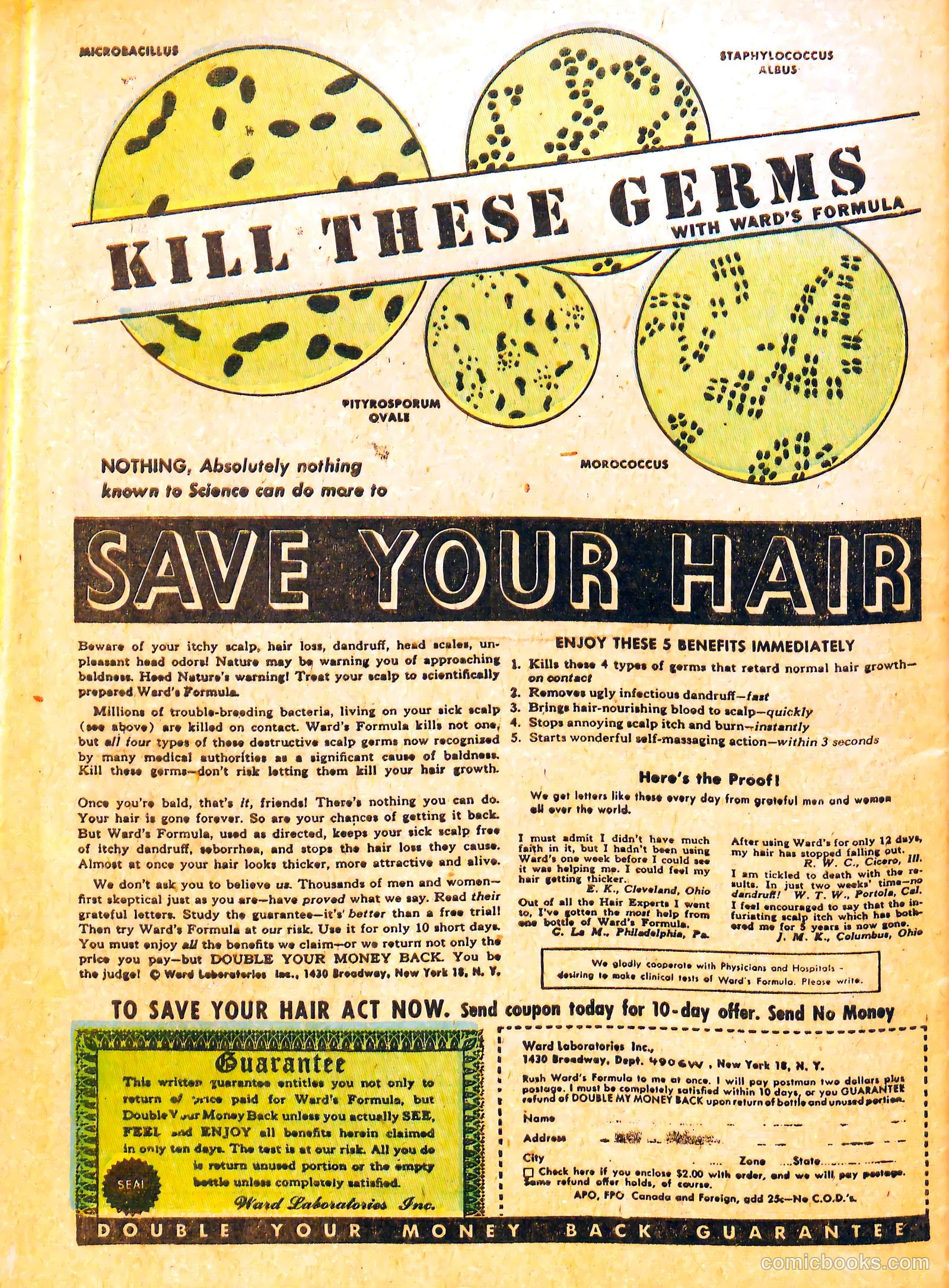Junior Hopp Comics #3 (1952) — page 34 of 36